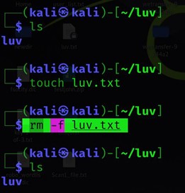 verwijder een bestand in Linux met behulp van rm-f-opdrachten