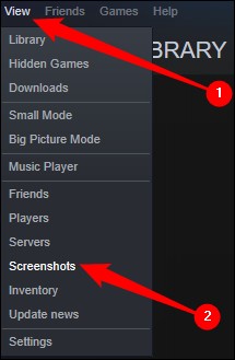 optie voor steam screenshots