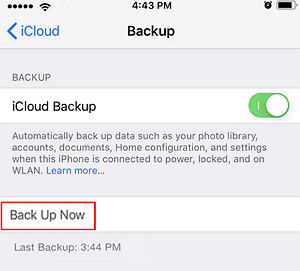 iCloud-back-upoptie is grijs weergegeven.