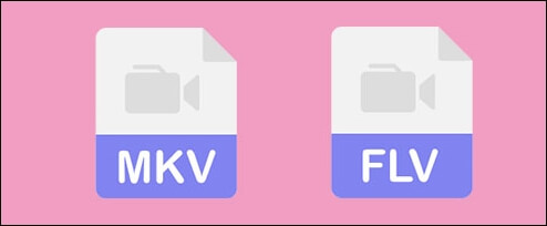 mkv en flv