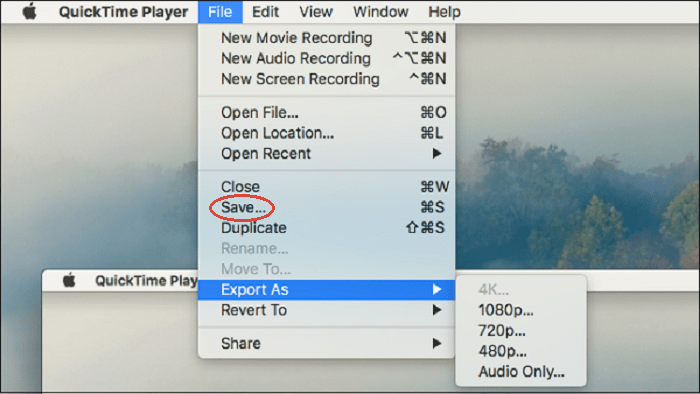 Opnamen opslaan met QuickTime