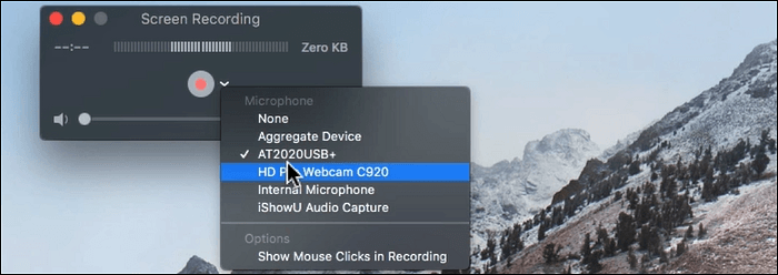 webcam quicktime speler