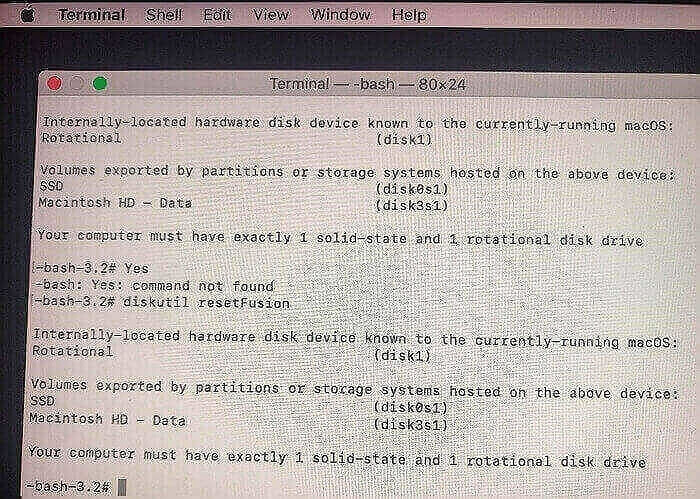 Voer Diskutil Reset Fusion in