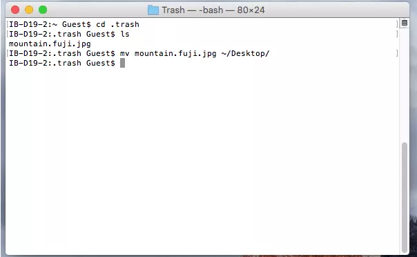 herstel verwijderde bestanden met behulp van terminal