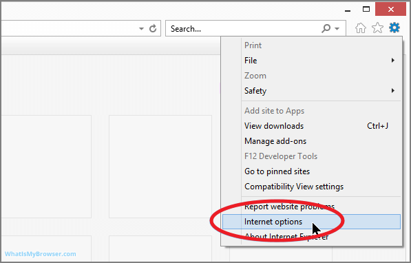 internet verkenner 1
