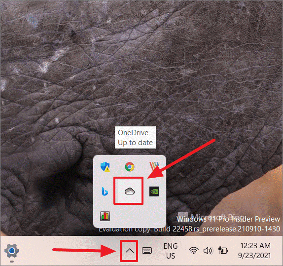 OneDrive-back-up stoppen