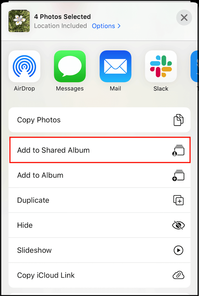 foto's delen met gedeeld album