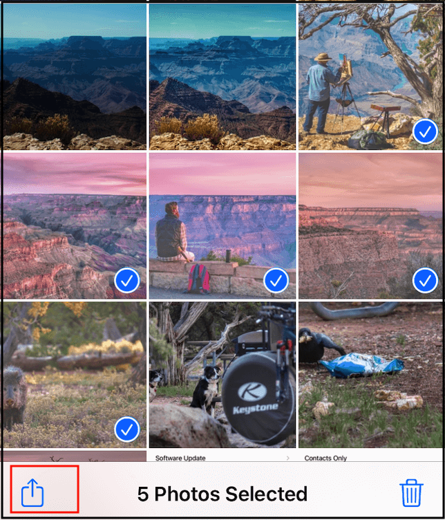 foto's selecteren en delen