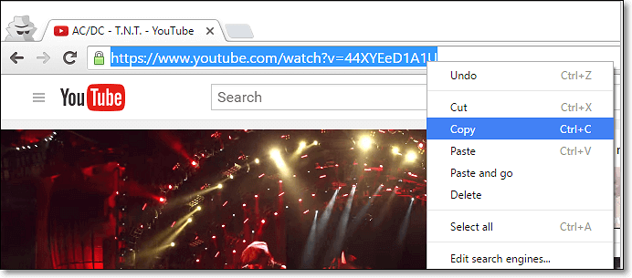 Kopieer YouTube-video-URL