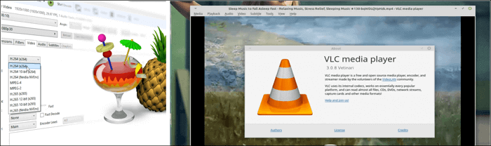 handrem vs vlc