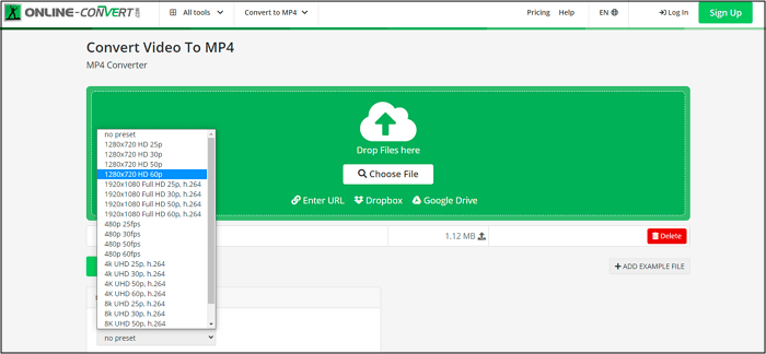 Online-conversie 60 FPS-converter
