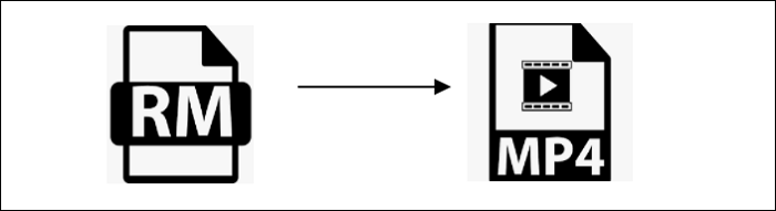 rm naar mp4 conversie