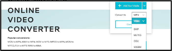 video-omzetter avi naar webm