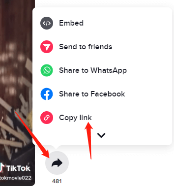 Kopieer de TikTok-video-URL op internet