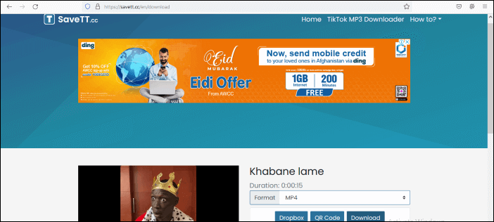 Download TikTok-video's zonder watermerk