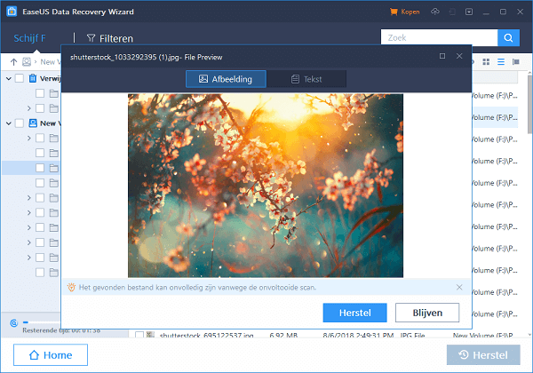 Druk op Herstel - Gratis Verloren Foto's Terughalen uit de Geheugenkaart van je Digitale Camera