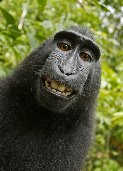 Selfie